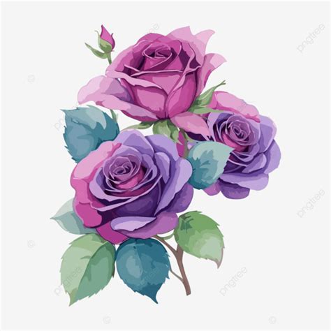 Beautiful Watercolor Rose Flower Frame Vector Beautiful Watercolor