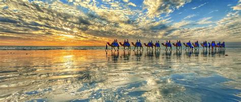 Broome Camel Safaris | Sunset Camel Rides Cable Beach