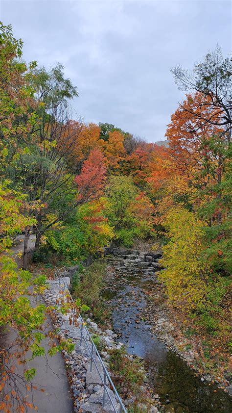 Mississauga Valley park : r/mississauga