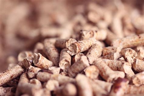 Biomass Pellets Cpcb’s Revised Grants Highly Inadequate To Close Demand Supply Gap