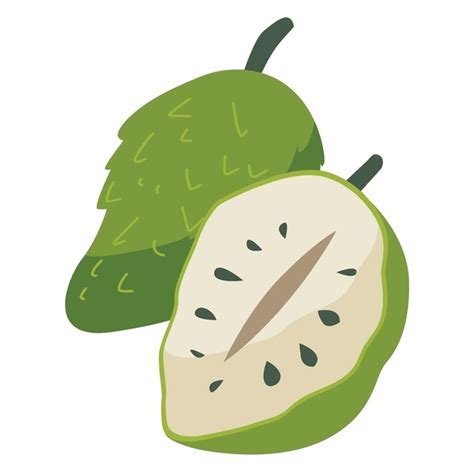 Durian Belanda Over 2 Royalty Free Licensable Stock Illustrations