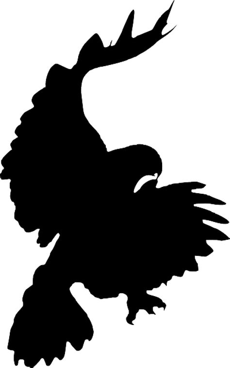 Flying Hawk Silhouette at GetDrawings | Free download