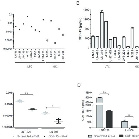 GDF 15 effects on the canonical TGF β signaling pathway in glioma