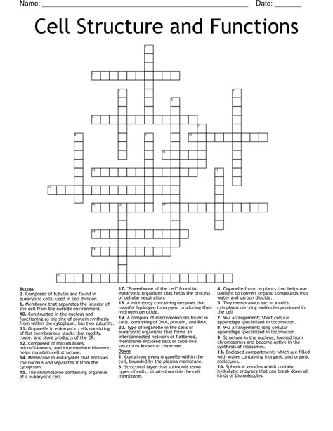 Cell Structure And Functions Crossword Wordmint