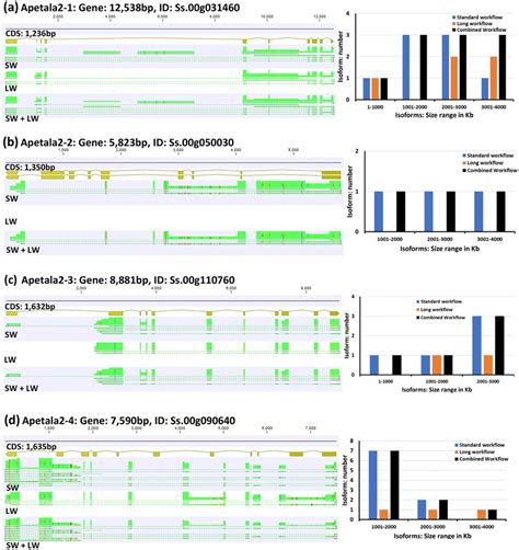 Comparison Of Pacbio Iso Seq Standard And Long Workflows Derived