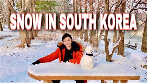 Nami Island In Winter Season Snow In South Korea Heavy Snow Fall