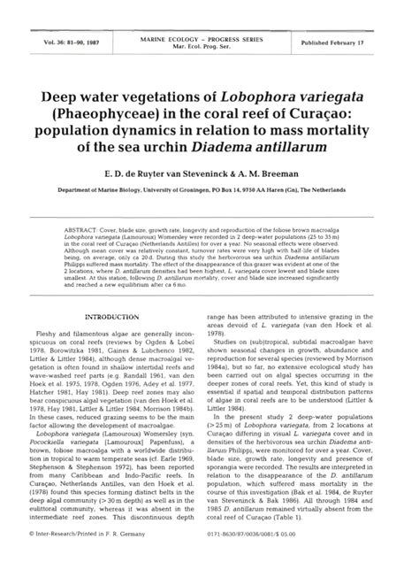 PDF Deep Water Vegetation Of Lobophora Variegata Phaeophyceae In