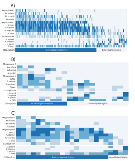 Diagnosing Bacterial Vaginosis With A Novel Clinically Actionable Molecular Diagnostic Tool