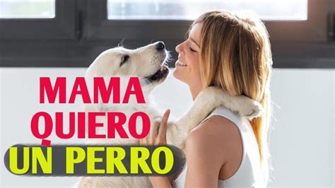 C Mo Convencer A Tus Padres De Tener Un Perro Aela Es