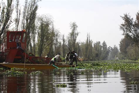 La Fgjcdmx Recuperó La Reserva Ecológica Paraje Izotitla En Xochimilco