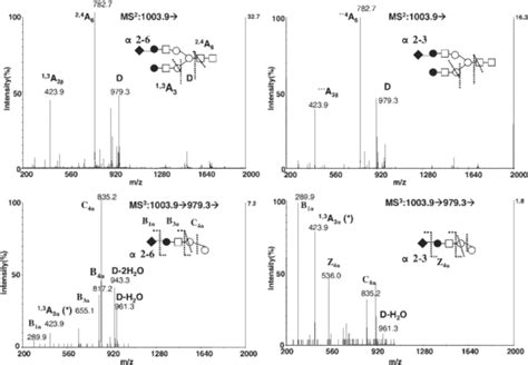 Negative Ion Collisioninduced Dissociation Cid Spectra Of The