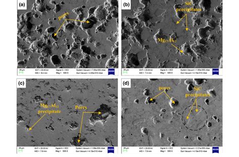 Sem Images Of A Pure Az B Sic C Sic And D Sic Microwave