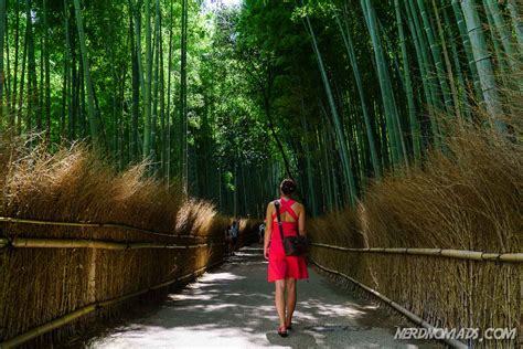 Bamboo Grove Kyoto - Nerd Nomads