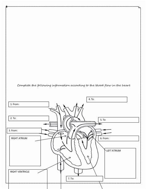 50 the Circulatory System Worksheet – Chessmuseum Template Library