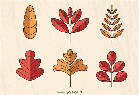 Autumn Leaves Illustration Set Vector Download