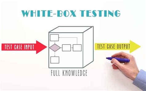 White Box Testing Adalah Pengertian Contoh Dan Teknik