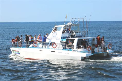 Boat Tour Cruises - Boatcruises.Durban