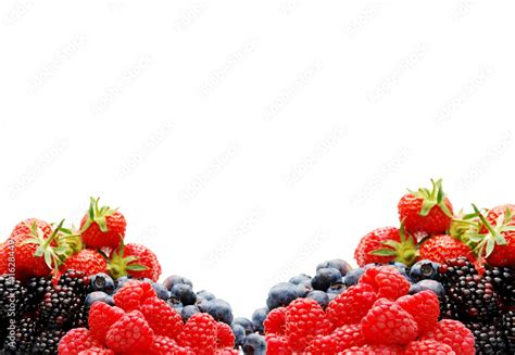 summer fruit border Stock Photo | Adobe Stock