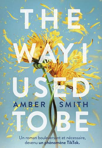 The Way I Used To Be Amber Smith 2023 Bookys Ebooks