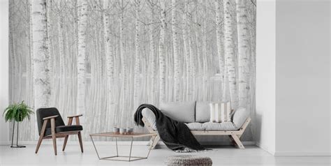 Discover More Than 89 Birch Tree Wallpaper Best In Coedo Vn