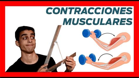 Tipos Contracciones Musculares Ejemplos Concentricas Y Excentricas