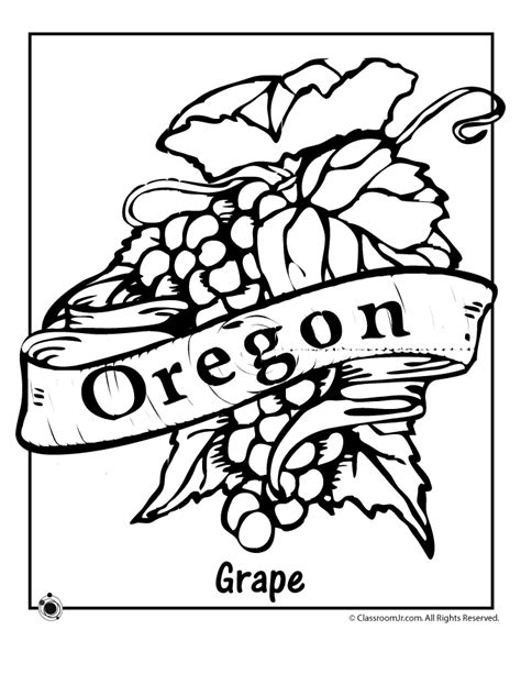 Oregon State Flower Coloring Page | Woo! Jr. Kids Activities : Children ...