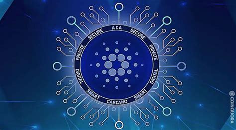 The Best Cardano NFT Projects To Buy In 2023 Space Coast Daily