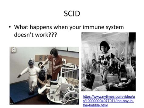 Sex Linked Inheritance And Pedigree Analysis Ppt