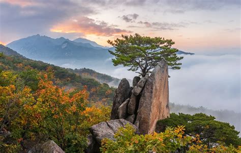 Wallpaper Autumn Clouds Landscape Mountains Nature Fog Tree