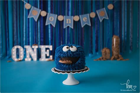 Cookie Monster 1st Birthday Cake Smash Session · KristeenMarie Photography