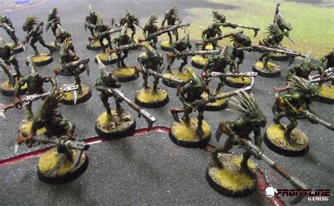 9E Tau Codex Review Troops Kroot Carnivores