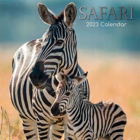 KALENDARZ ŚCIENNY 2023 SAFARI Afryka zwierzęta 12825850671