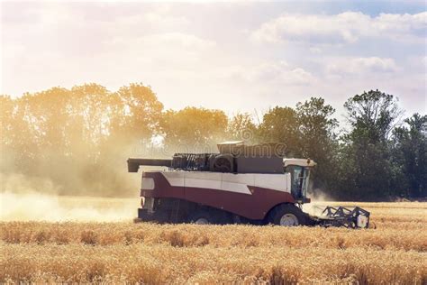 M Quina Da Ceifeira Para Colher O Funcionamento Do Campo De Trigo Campo