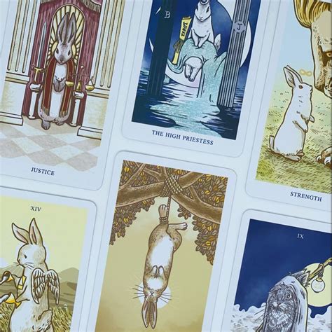 Tarot Decks | TEVADA Tarot