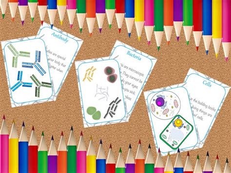 Printable Biology Flashcards / Preschool / Kindergarten / | Etsy Australia