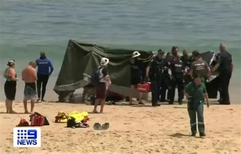 TragÉdia Surfista De 15 Anos Morre Ao Ser Atacado Por Tubarão Na Austrália Veja VÍdeo