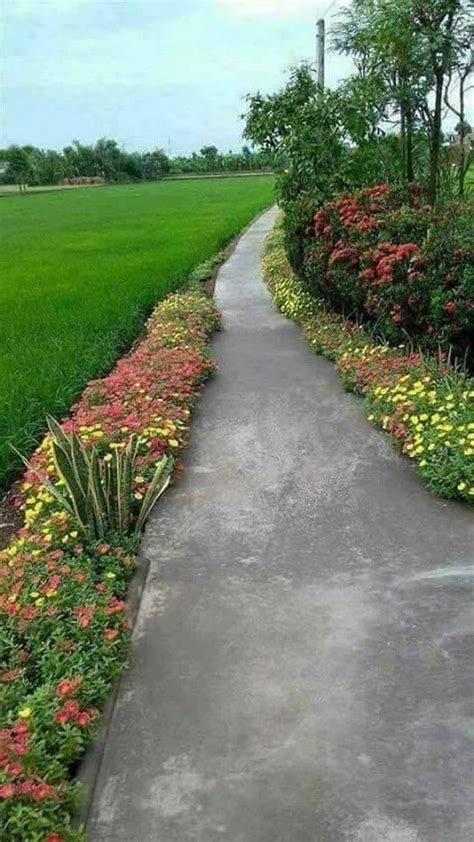 An Empty Path In The Middle Of A Lush Green Field With Flowers Growing