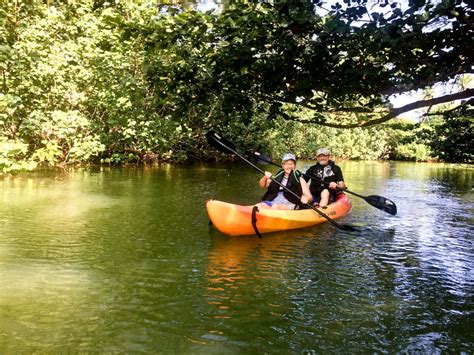 How To Book A Relaxing Stay At The White Plains Cabins Oahu For A Picturesque Beachfront Vacation Experience 6