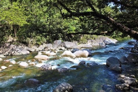 Clear And White Water River Rushing Over Boulders In Rainforest Stock