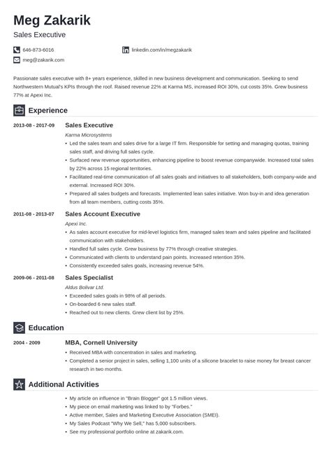 Best Executive Resume Template And 20 C Level Examples