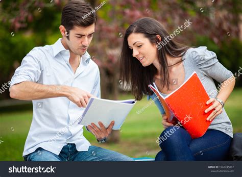 students studying  sitting  stock photo