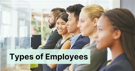 How to Classify Types of Employees (Definitions & Examples) | CakeResume