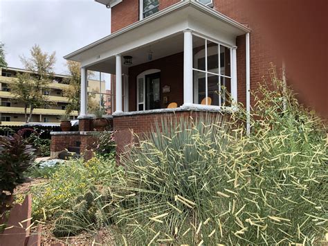 Pollinators Paradise - Waterwise Yards