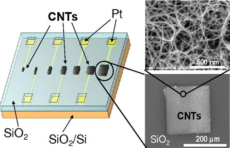 Figure From Label Free Electrical Detection Using Carbon Nanotube