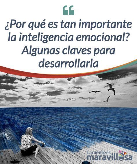 ¿por Qué Es Tan Importante La Inteligencia Emocional Algunas Claves