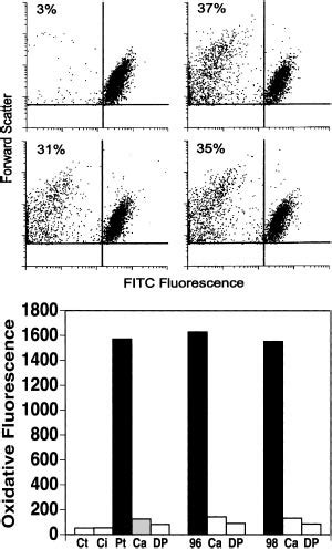 Effect Of Rabbit Abs Raised Against HIV 1 10 Mer Wild Type Peptides Or