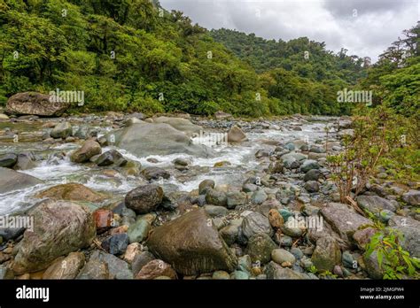 The Orosi River Tapanti Cerro De La Muerte Massif National Park