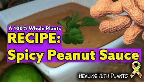 Recipe Spicy Peanut Sauce Healing With Plants