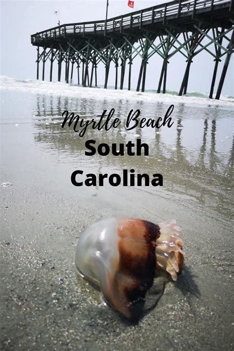 Enjoy A Girls Weekend In South Carolina At Myrtle Beach Tips On Where To Stay And Eat Also See