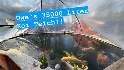 Uwes 35000 Liter Koi Teich Im Kuppel Zelt Mit Teils Brutalen Jumbo Koi